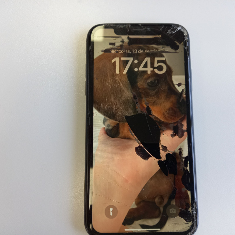 4626