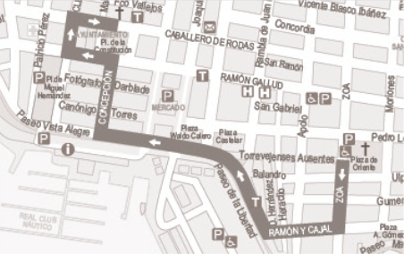 Procesión domingo de ramos (tarde)