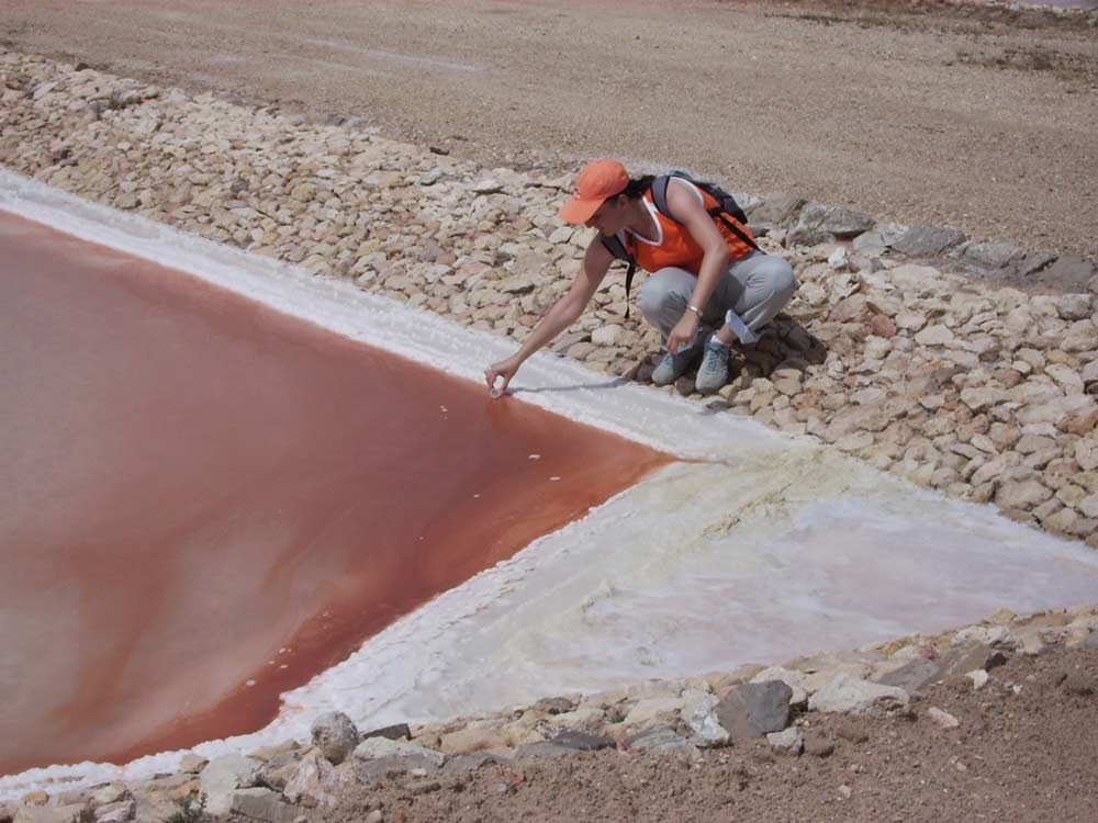 salinas-villena