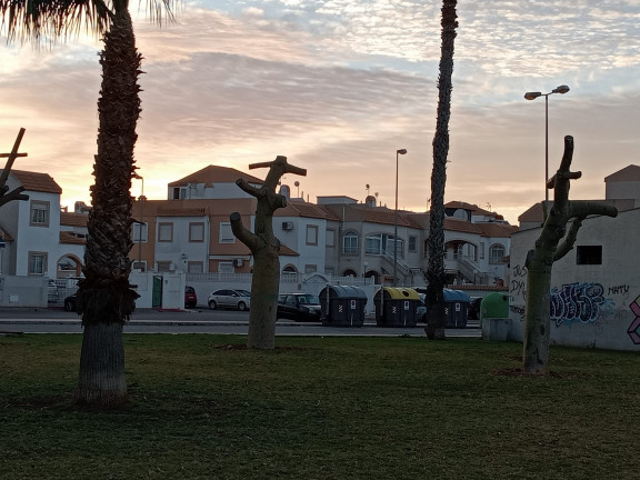 24 DE LOS ÁRBOLES QUE RODEAN EL PARQUE DE LAS NACIONES HAN SIDO TRASPLANTADOS JUNTO A LA VÍA VERDE 4