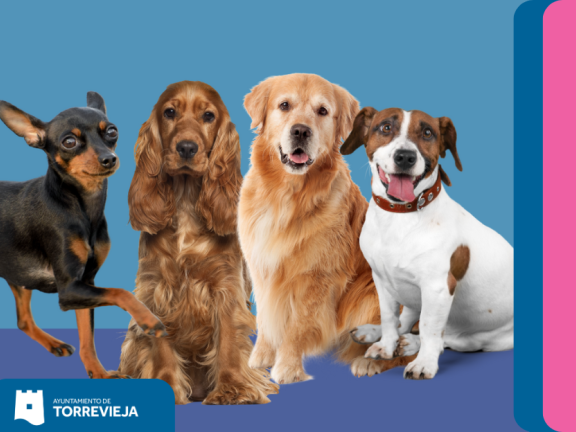 animales