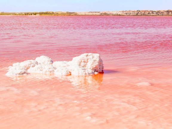Laguna_Rosa_Torrevieja_2