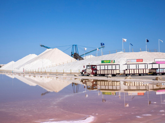 las salinas