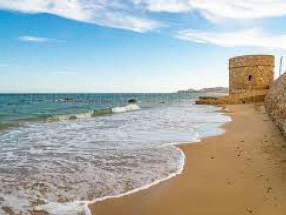 playa de la mata