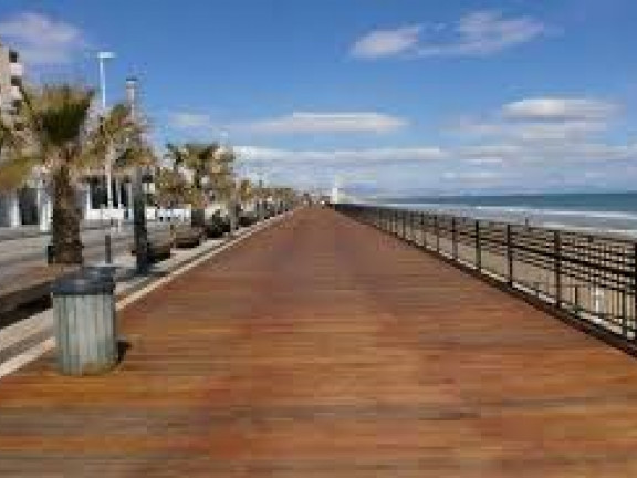 playa de la mata