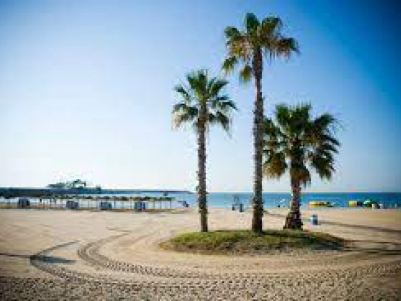 playa de los naufragos
