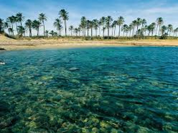 playa ferris torrevieja