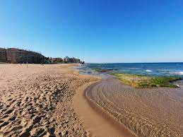 playa de la mata