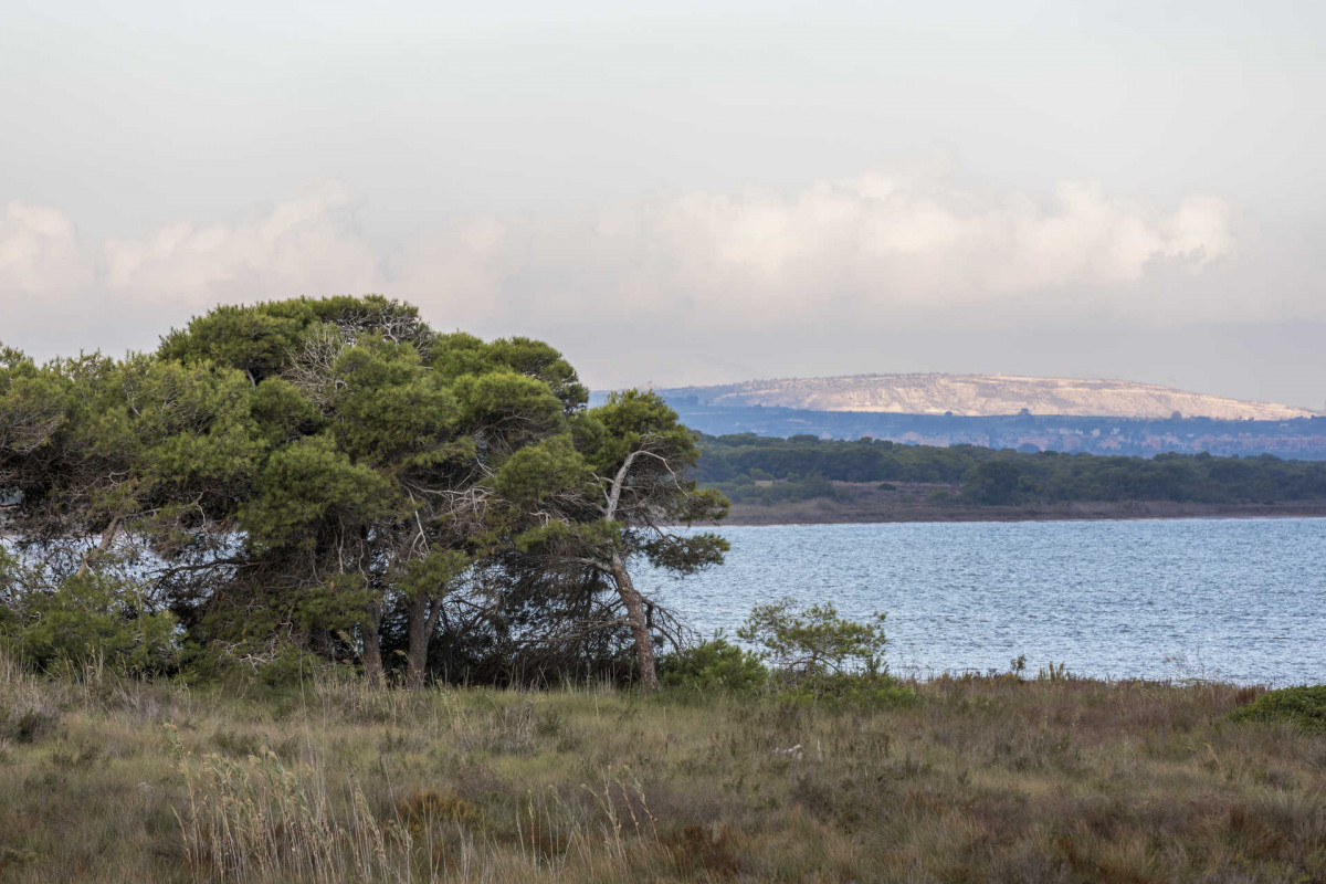 parque natural la mata 