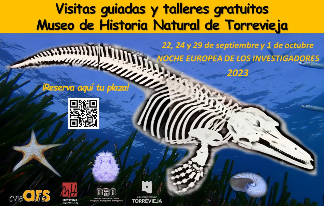 visitas_guiadas_museo_torrevieja