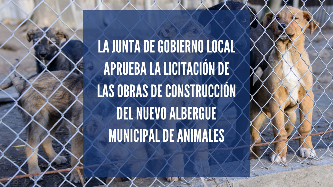 albergue