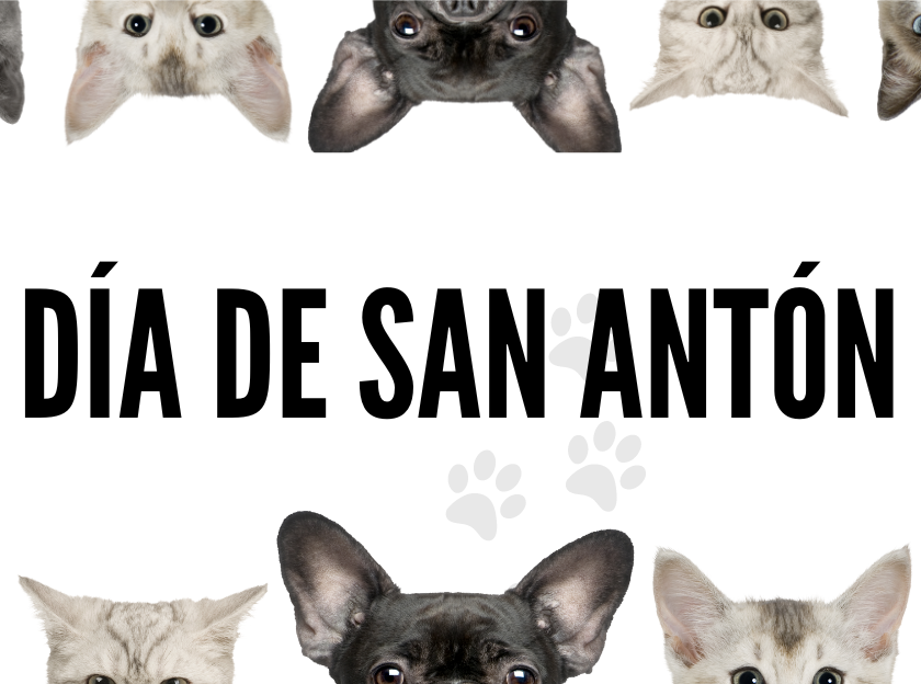 SAN ANTON