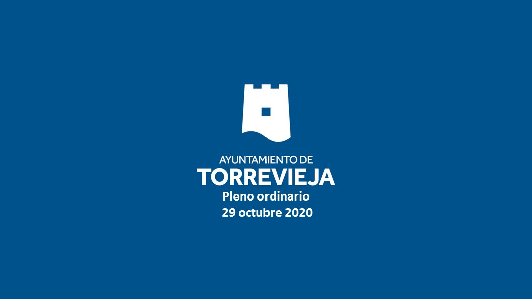 PLENO ORDINARIO DE 29 DE OCTUBRE DE 2020