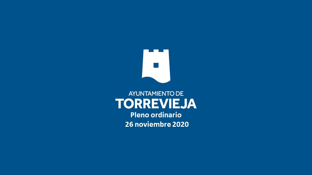 PLENO ORDINARIO DE 26 DE NOVIEMBRE DE 2020