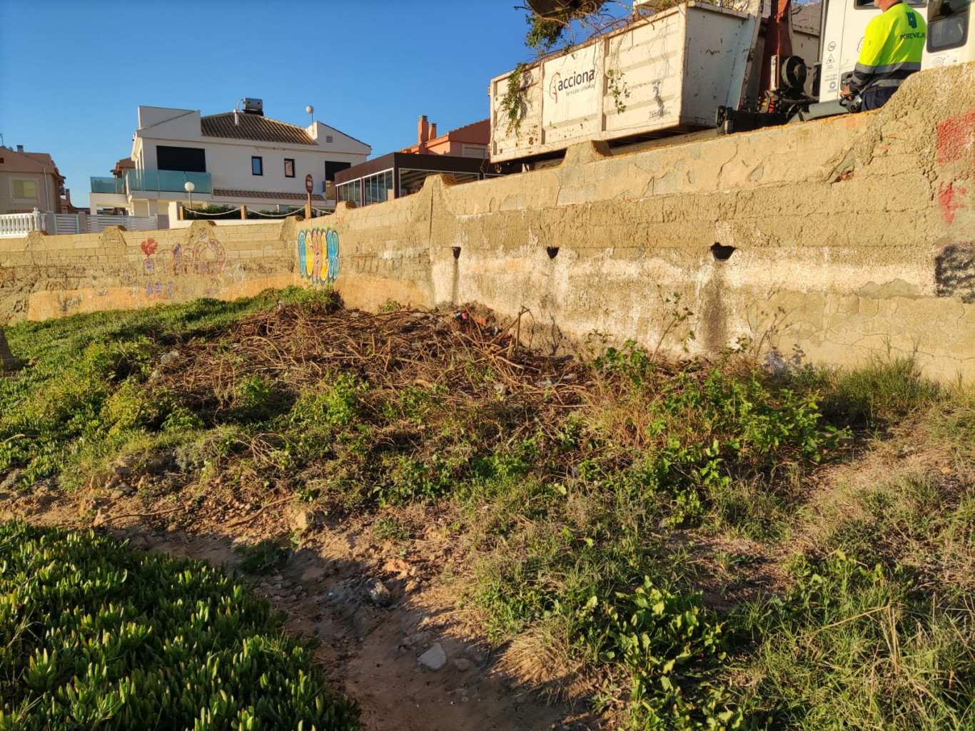 TRABAJOS_ELIMINACIÓN_DE_FLORA_EXÓTICA_INVASORA_EN_LA_MICRORRESERVA_DE_CABO_CERVERA _3.jpeg