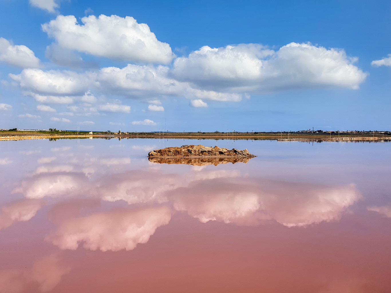 salinas 3