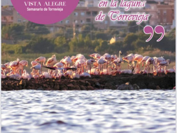 Portada_VA_3261